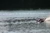 Filename=SAW_2007_050.jpg
Filesize=268KB
Dimensions=640x427
Date added=May 13, 2008 SAW_2007_050.jpg